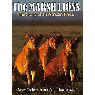 The Marsh Lions