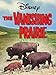 The Vanishing Prairie