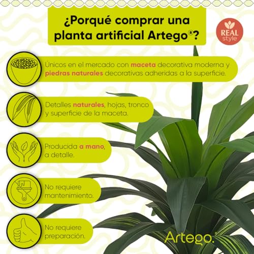 Listado y reviews de Tronco brasil los más recomendados. 18 Imagen adicional