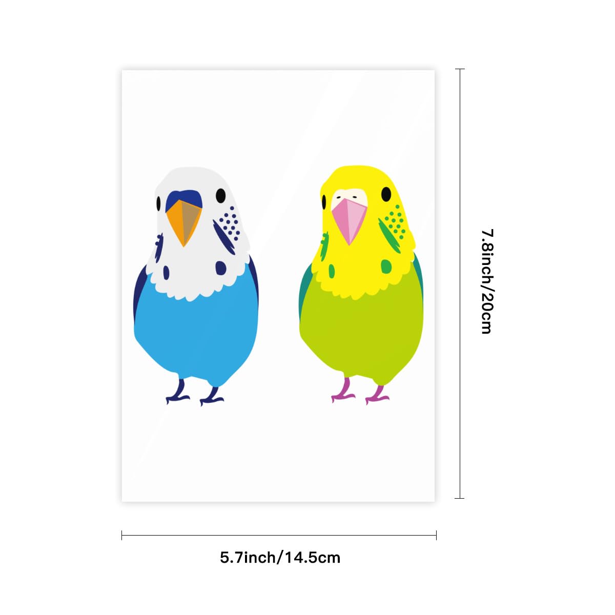 Amazon.co.jp: クリスタルステッカー セキセイインコ 二匹 鳥柄