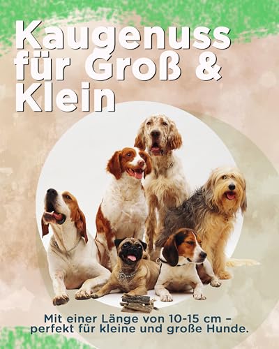 Futterbauer Rinderpansen 5 kg, Natürlicher Kausnack für Hunde, schonend getrocknet, fettarm & gut verdaulich