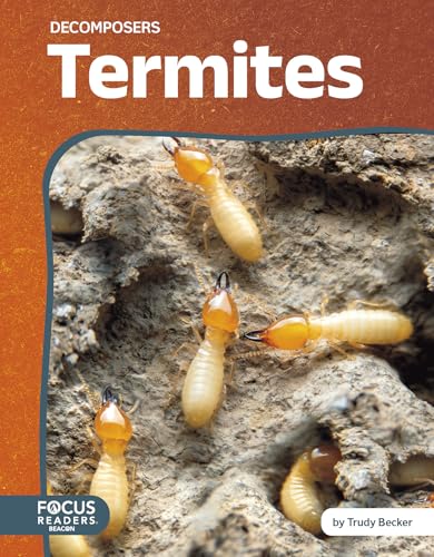 Termites (Decomposers)