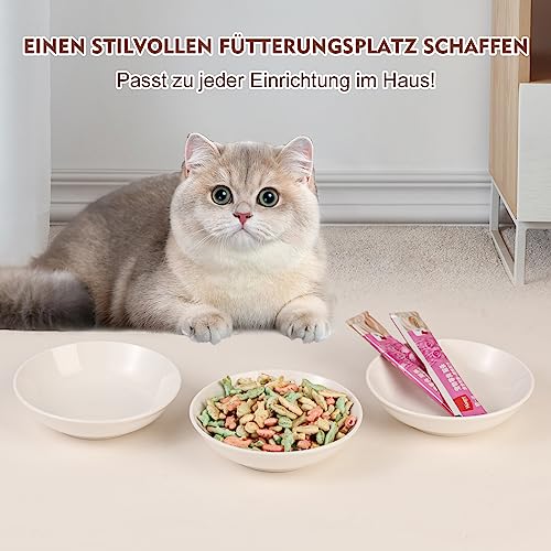 Katzennäpfe aus Keramik Katzennapf Set - 6 Stück Futternapf für Katzen im minimalistischen Stil - Breit, Flach, schnurrhaarfreundlich - mikrowellen- und spülmaschinenfest - 250 ml