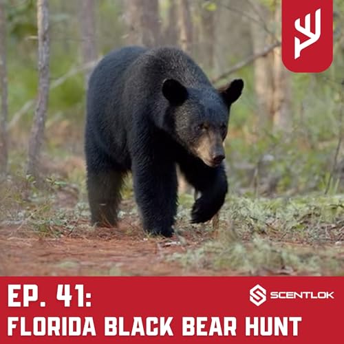 Page de couverture de Ep. 41: Florida Black Bear Hunt