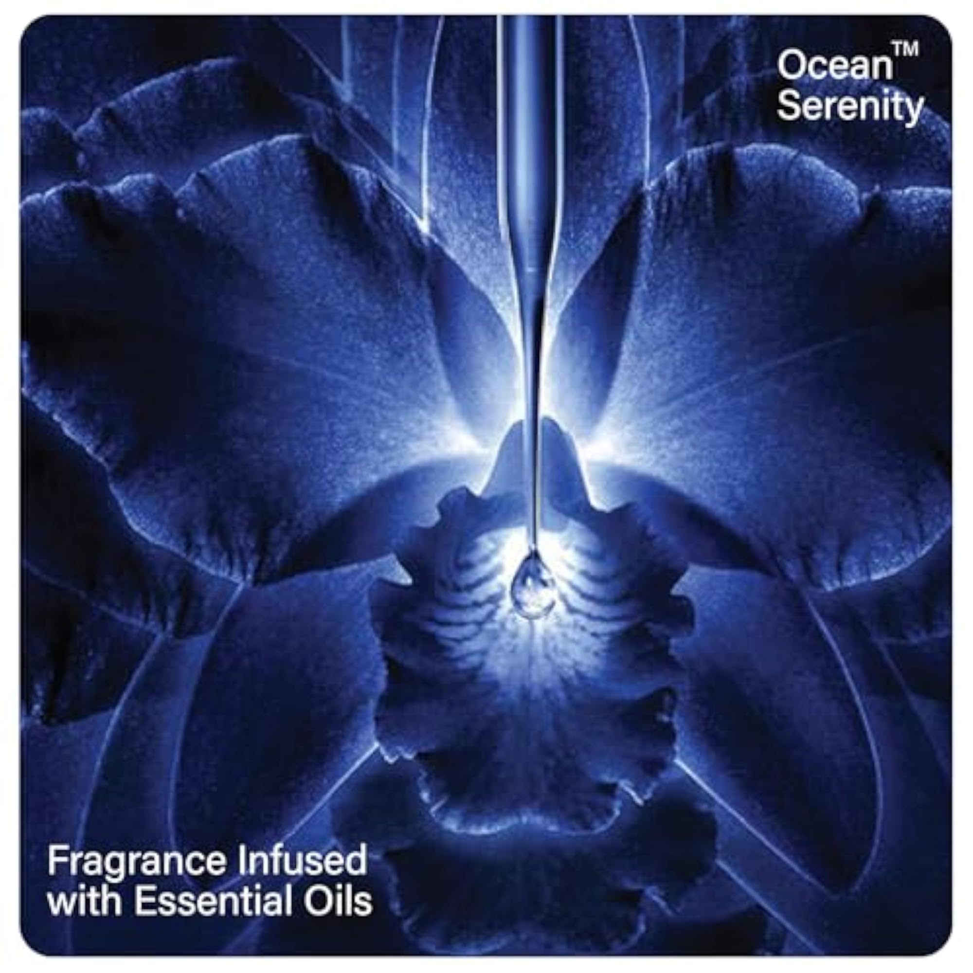 Organic Essential Set of 3 Fragrance Oils for Home Use