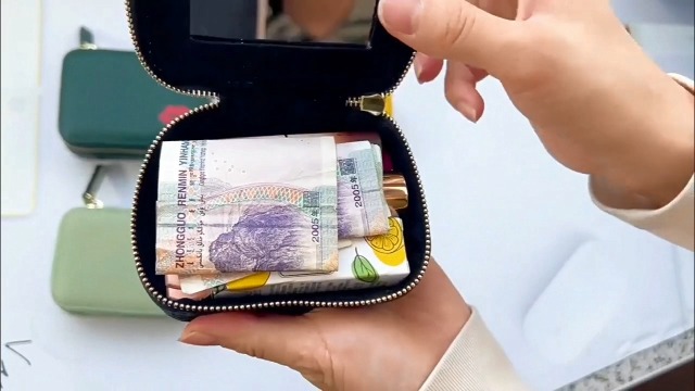 Amazon.com: Genuine Leather Lipstick Case with Mirror for Purse