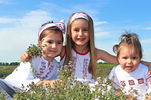 Essences Bulgaria Organic Thyme Essential Oil 1/3 Fl Oz | 10Ml | Thymus Vulgaris | 100% Pure And Natural | Undiluted | Therapeutic Grade | Family Owned Farm | Steam-Distilled | Non-Gmo | Vegan #TOP6