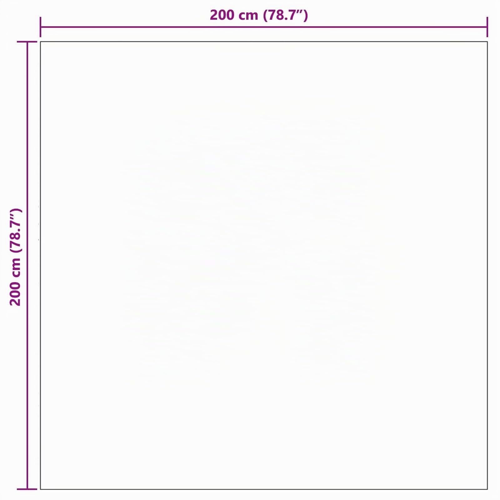 vidaXL Tapis d'intérieur et d'extérieur AGIRA Naturel 200 x 200 cm