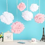 Wisehands 12pcs Mixed 3 Sizes White Pink Tissue Paper Pom Poms Flower Wedding Party Baby Girl Room Nursery Decoration