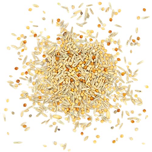Welli-Fit, Wellensittich-Futter mit Grassamen (2,5 kg)
