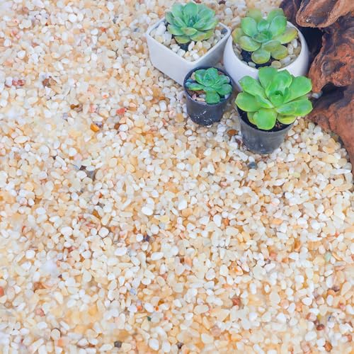 Image of CJGQ 18lb Aquarium Gravel for Plants,1 /5 Inch Natural Decorative River Rocks for Succulent and Cactus Landscaping, Natural Small Rocks for Fish Tanks, Vases & Terrariums