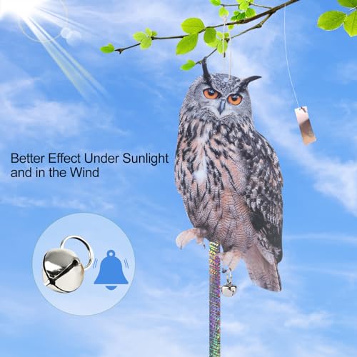 OffiCreative Coruja de plástico para assustar esquilos, 5 peças, dispositivo de coruja refletiva par