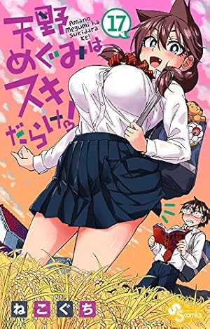 天野めぐみはスキだらけ! (17) (少年サンデーコミックス) | ねこぐち