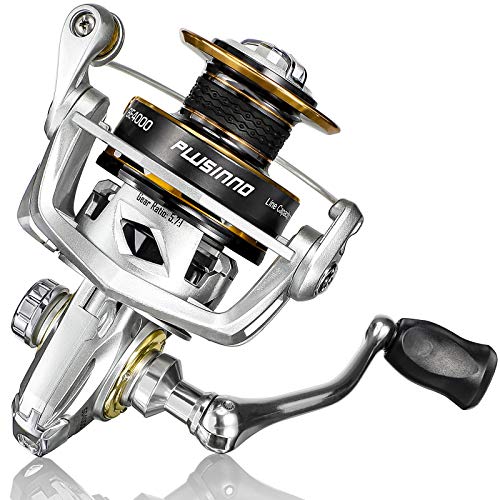 Top 10 Budget Saltwater Spinning Reel of 2022 Katynel