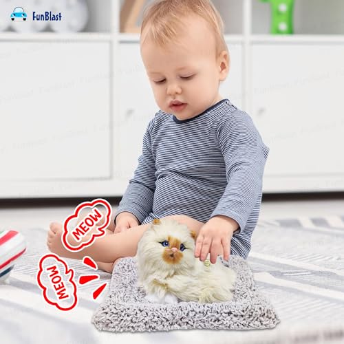 Image of FunBlast Cute Cat Plush Toy with Meow Sound, Toy Accessories for Car Dashboard & Home Decor, Realistic Cat Pet Toys with Bed, Gift for Kids (Brown-Random)