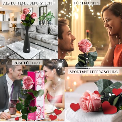 Rosen-Te-Amo |Infinity Rose Rosa am Stiel 27cm – Rosenduft |Echte Rose Geburtstagsgeschenk für Frauen, Ewige Rose in Geschenkbox| Konservierte Blume zum Weihnachten, Valentinstag, Mama, DekoGeschenk