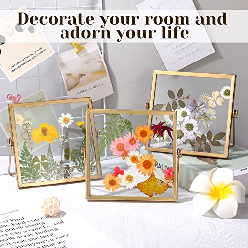 12 Pack Floating Gold Frame Glass Photo Frame Collection Vintage Metal Minimal Ornate Easel Stand Photo Frames Vertical Glass Frame For Pictures Photos Desk Tabletop Display 4 X 4 Inch(Gold) #TOP4