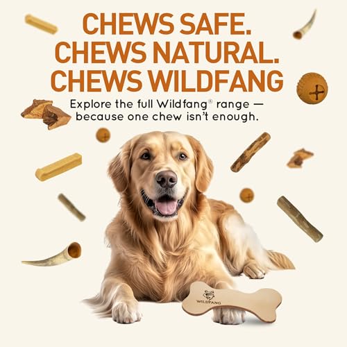 Wildfang® Leder Kauknochen Hund, Größe S – zahnpflege Hund, Hundespielzeug, kauspielzeug & kauknochen Welpen – für leichte bis mittlere Kauer (unter 1 kg), 1 Stück