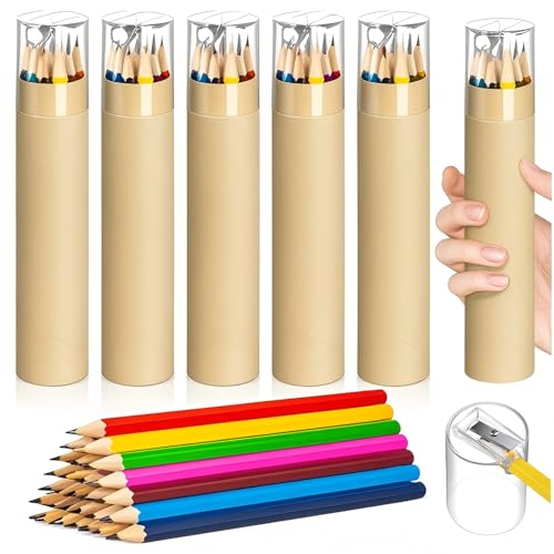 Lot de 24 crayons HB en vrac pré-taillés de haute qualité en bois