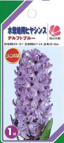 Amazon Co Jp D 01 ﾋﾔｼﾝｽ水栽培花瓶ｾｯﾄ青 Diy 工具 ガーデン