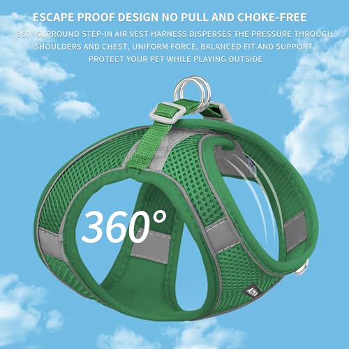 Image of AIITLE Easy Walk Dog Harness and Leash Set - Pet Supply No Pull, Step in Adjustable Dog Harness with Padded Vest for All Weather, Dog Harness No Choke Over, Easy to Put on Medium Dogs Green L