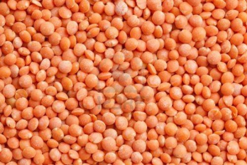 Red Lentil / Dhuli Masoor - 1KG red lentil 1Kg