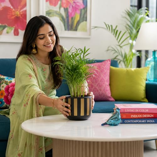 Image of Urban Plant Black Gold Stripe Handcrafted Terracotta Planter | Luxury Indoor Clay Pot for Living Room | Artisan Decorative Flower Pot | Modern Home Decor | Drainage Hole | 4.5 Inch