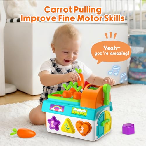 Image of Musical SortingToys for 1 Year Old Boy, 1st First Birthday Boy Girl Gifts Presents, Montessori Educational Learning Toddler Toy, Fine Motor Skills Toy