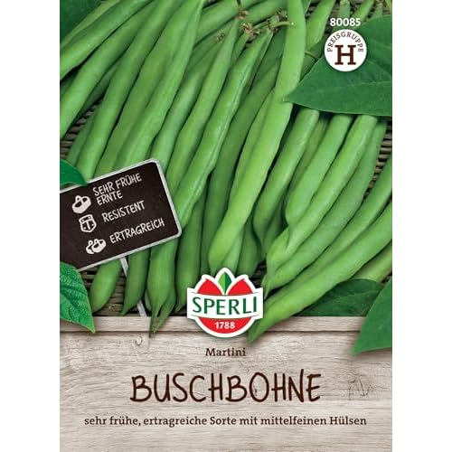 Sperli Buschbohnensamen Martini 80085 - Gemüsesamen für eine sehr ertragreiche Buschbohne mit einem Inhalt für 5 bis 7 lfd. Meter - Gemüsepflanzen, Saatgut