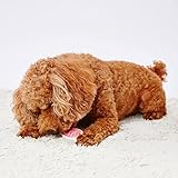 ペティオ (Petio) 犬用おもちゃ かんでるボーンデンタル Mハード 完熟いちごフレーバー