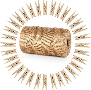 ABSOFINE 328 Feet Jute Twine 3-ply and 100 Pieces Mini Natural Wooden Craft Clothespins Craft Pegs Clips for DIY Gardening Making Decor