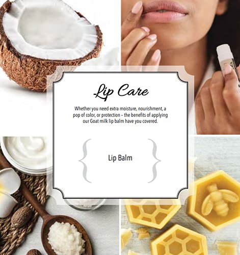 Dionis - Goat Milk Skincare Tinted Lip Balm 3 Piece Set (0.15 Oz) - Cocoa Lips, Fluffy Gal, Ms. Daisy - Made In The Usa - Cruelty-Free And Paraben-Free #TOP3