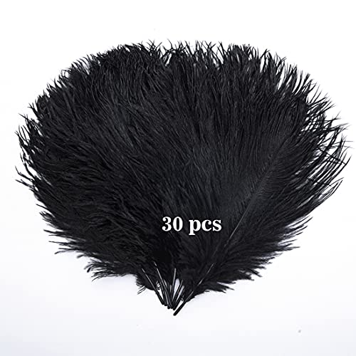 Hollosport 30PCS Bulk Black Ostrich Feathers 10-12 Inches for Centerpieces Party Wedding Home Decorations Dream Catchers Vases Crafts (Black)