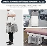 HOCLAUHO Transporttasche Katze Hund Groß Tragbare Haustiertasche für draußen Faltbar atmungsaktiv Große Kapazität für Zwei kleine Katzen, Autoreise Tragetasche für Katze mittel große Hund(Rosaton)
