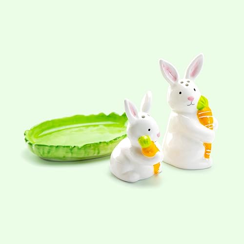 Miniatura 5 de Potters Studio - Juego de coctelera de cerámica de sal y pimienta en caja de regalo