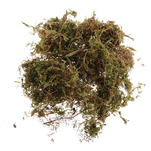 chiwanji Artificial Grass Powder Model Building Decor DIY Accessory 400ml 2 Colors - Dry Color