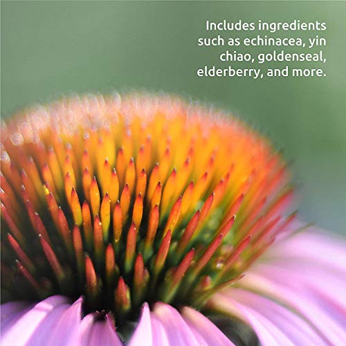 Source Naturals Herbal Resistance - Contains Echinacea, Yin Chiao, Elderberry, & More - 8 Fluid Oz #TOP4