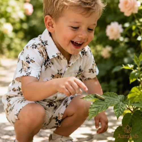 Image of Boys Shirt & Shorts Co-ord Set Kids Regular Wear Clothes Outfit