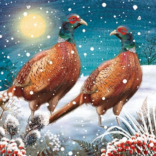 Box of 18 Paper House Festive Robin & Pheasants Christmas Cards Boxed Xmas PSOP0018, 15cm x 15cm - Image 2