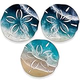 Jetec Sand Dollar Wall Decor 3 Pcs Beach Coastal Wall Art Wood Outdoor Ocean Sand Dollars Decor Wooden Art Teal Seafoam Decoration for Home Bathroom Decoration (Delicate Style)