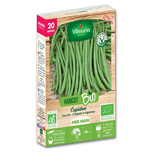 Vilmorin - Graines de Haricot Nain Vert Cupidon BIO - 20 mètres