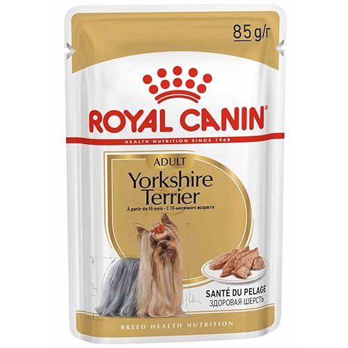 ROYAL CANIN C-11386 Hmedo Yorkshire Buste, 85 g