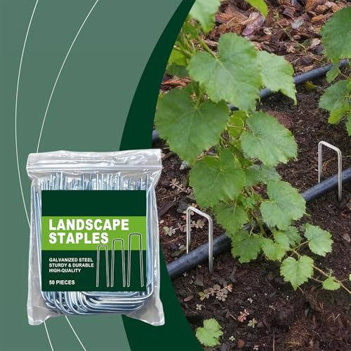 Piquet galvanisé de jardin et support de treillis robuste pour clôture - 3