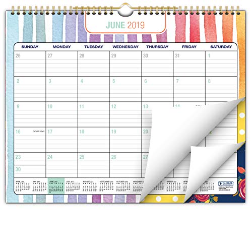 2020 Wall Calendar - 12