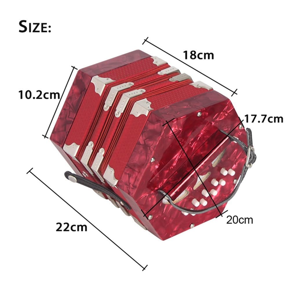 Accordéon hexagonal avec 20 touches et 40 tonnes, instrument professionnel pour la pratique de l'enseignement