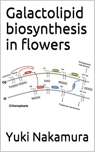Galactolipid biosynthesis in flowers (English Edition)