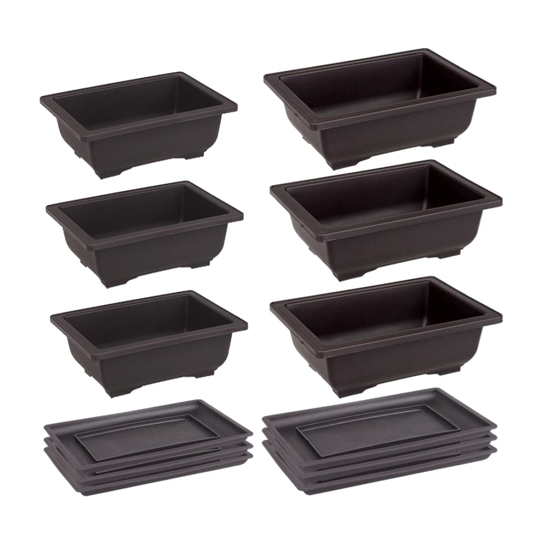 Pots d'entraînement aux bonsaï avec plateau rectangulaire en plastique lot de 6