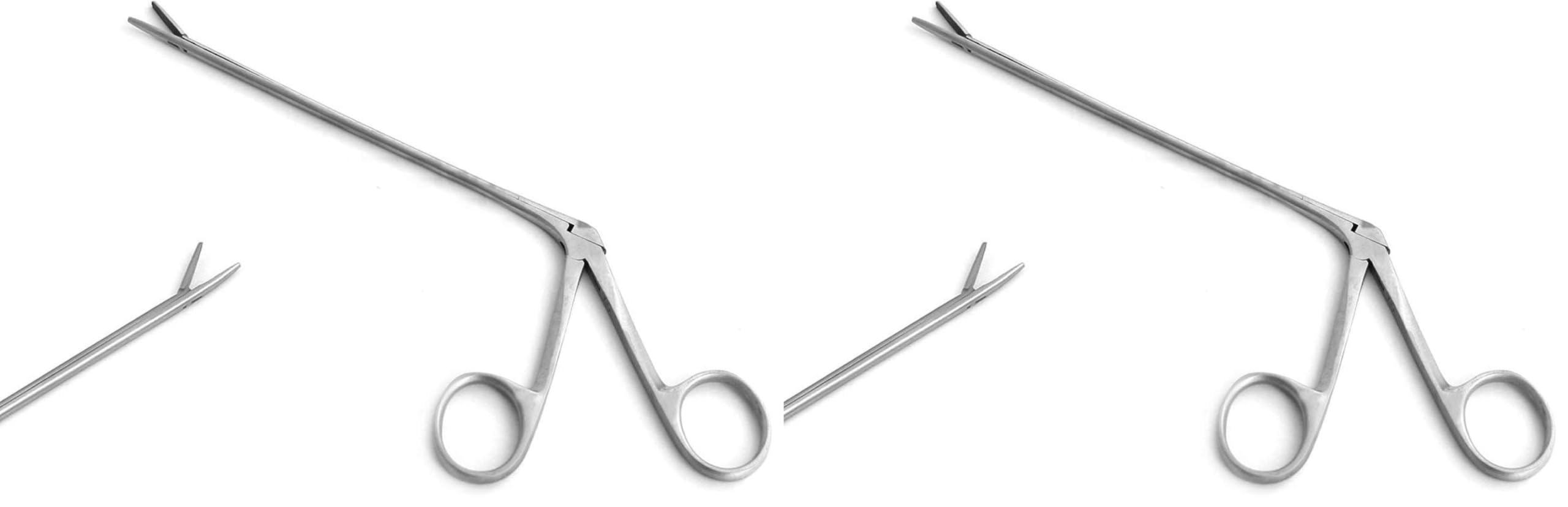 Micro Alligator Forceps - 8" Stainless Steel -4