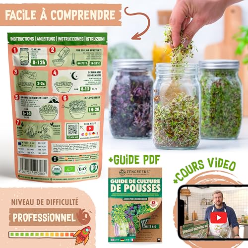 Graines de coriandre bio ZenGreens semences premium pour microgreens