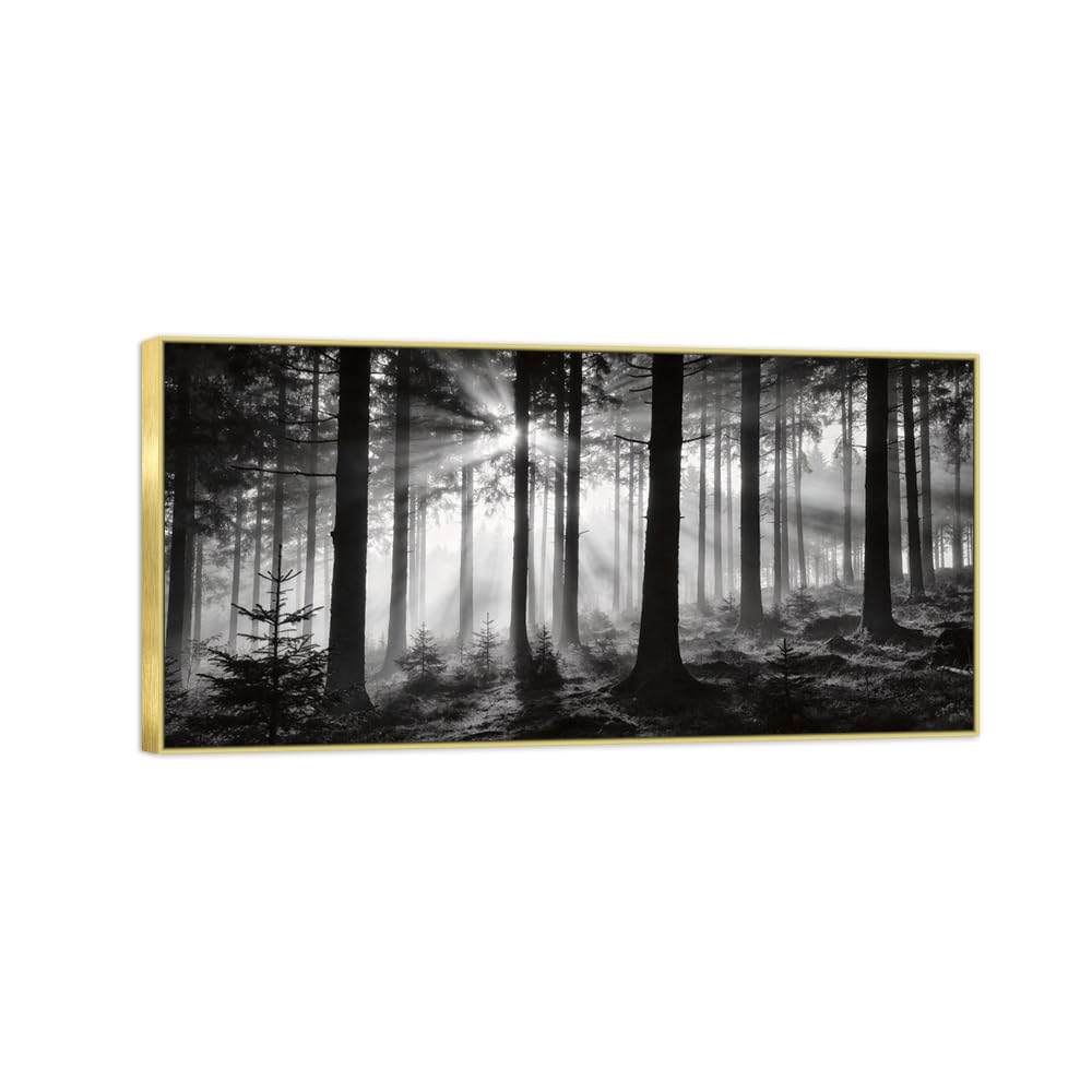Forest Tree Black White Landscape Canvas Picture 60x120cm Gold Frame
